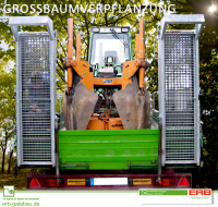 ERB GaLaBau GmbH - Grossbaumverpflanzung002.png