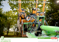 ERB GaLaBau GmbH - Grossbaumverpflanzung001.png